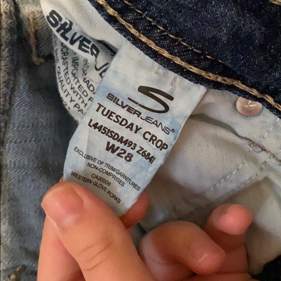 Silver cropped - Picture 3 of 3